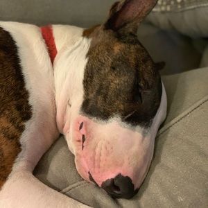 Meet your Posher, Leslie